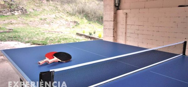 Ping pong