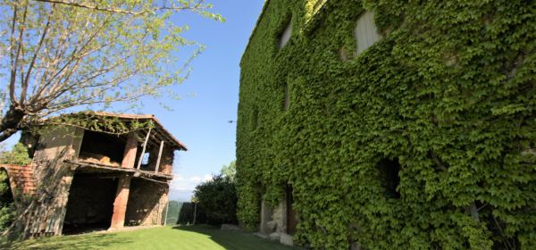 Jardí