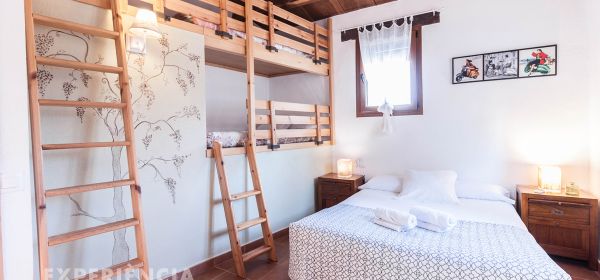 Room 5