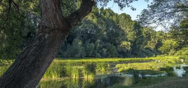 Fluvià river