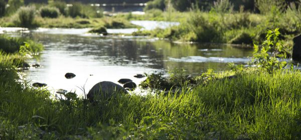 Fluvià river