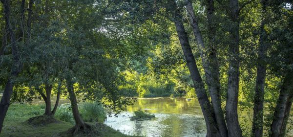 Fluvià river