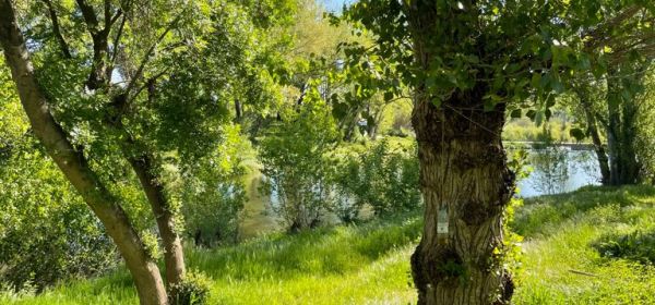 Fluvià river