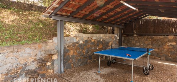 Ping-pong