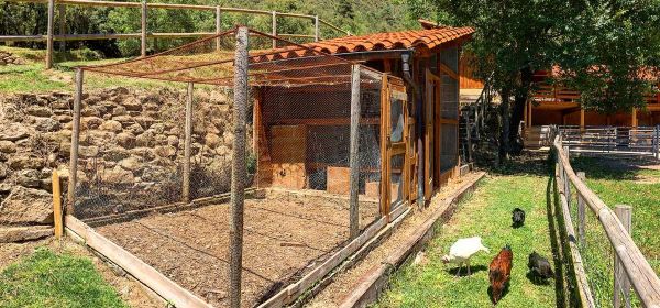 Corral