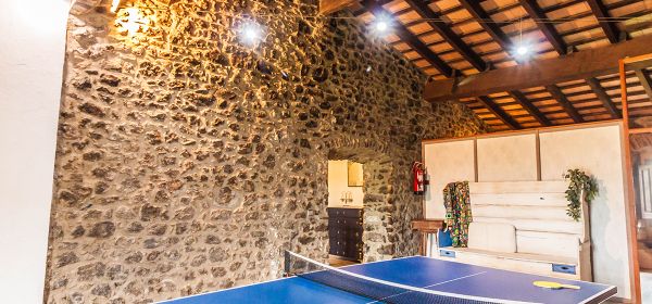 Tenis taula